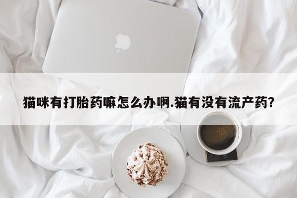 哪里可以私下卖到打胎药猫咪有打胎药嘛怎么办啊.猫有没有流产药？