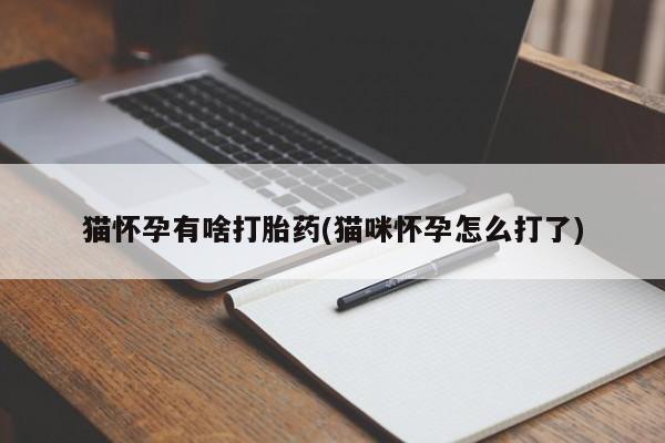 哪里可以私下卖到打胎药猫怀孕有啥打胎药(猫咪怀孕怎么打了)
