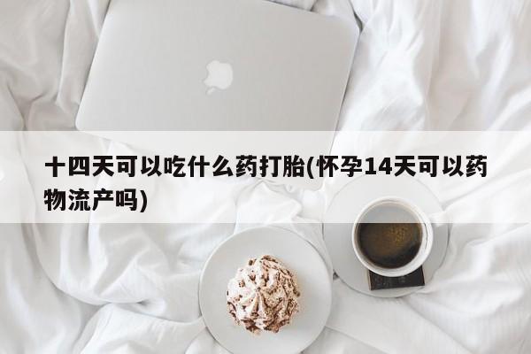 哪里可以私下卖到打胎药十四天可以吃什么药打胎(怀孕14天可以药物流产吗)